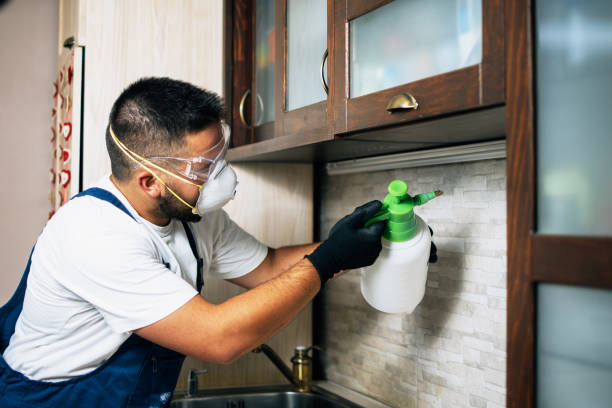 Best Residential Pest Control  in Joseph City, AZ