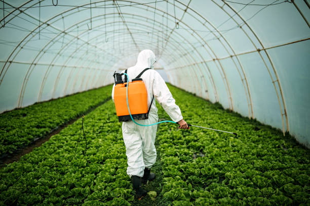 Best Best Pest Control Companies  in Joseph City, AZ