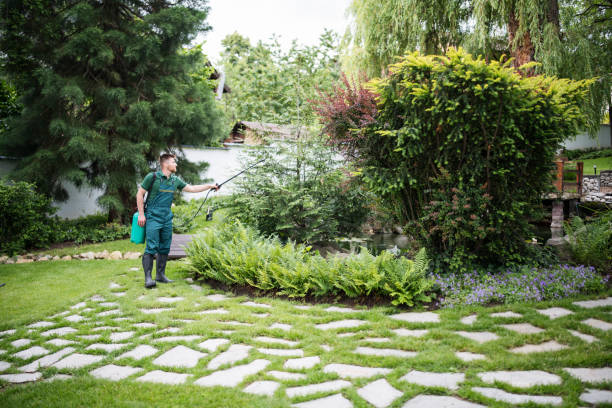 Best Ant Control Services  in Joseph City, AZ