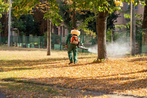 Best Flea Control Services  in Joseph City, AZ