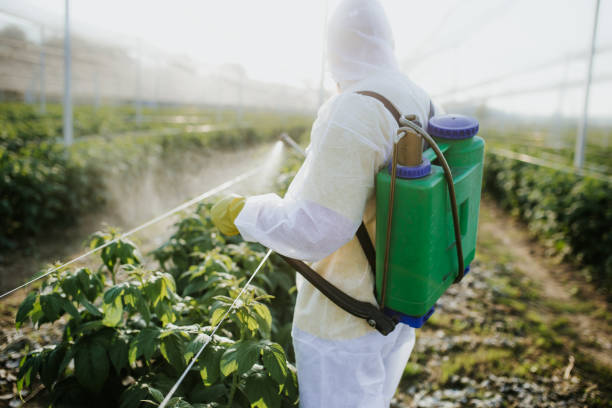 Best Mosquito Control Services  in Joseph City, AZ